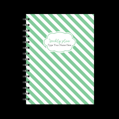 A5 Spiral 24/25 Mid-Year Diary - Stripe - Apple Green