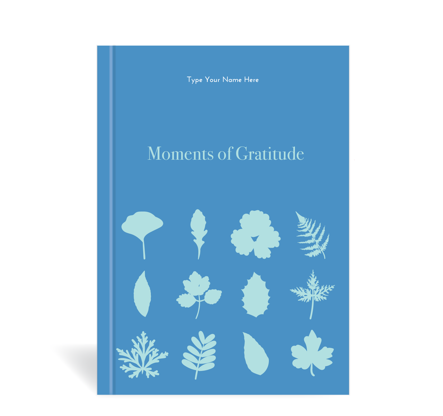 Daily Gratitude Journal By Brookyln Downing And Sheriece Robinson - View #4
