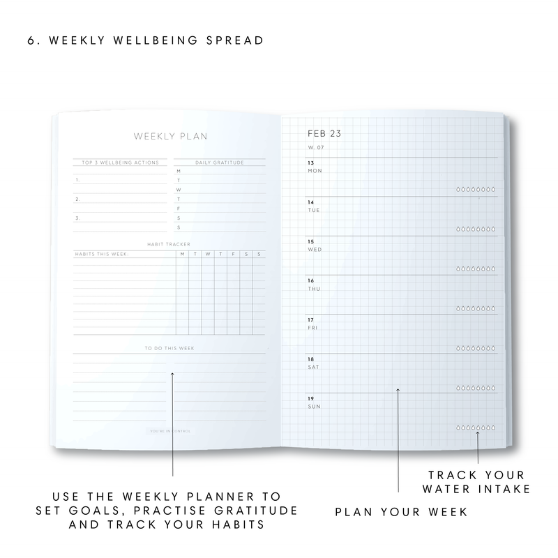 A5 2023 Wellbeing Diary - Blush