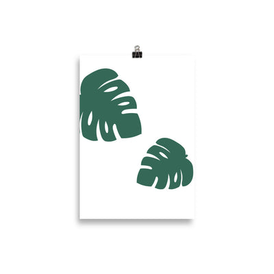 MONSTERA Poster